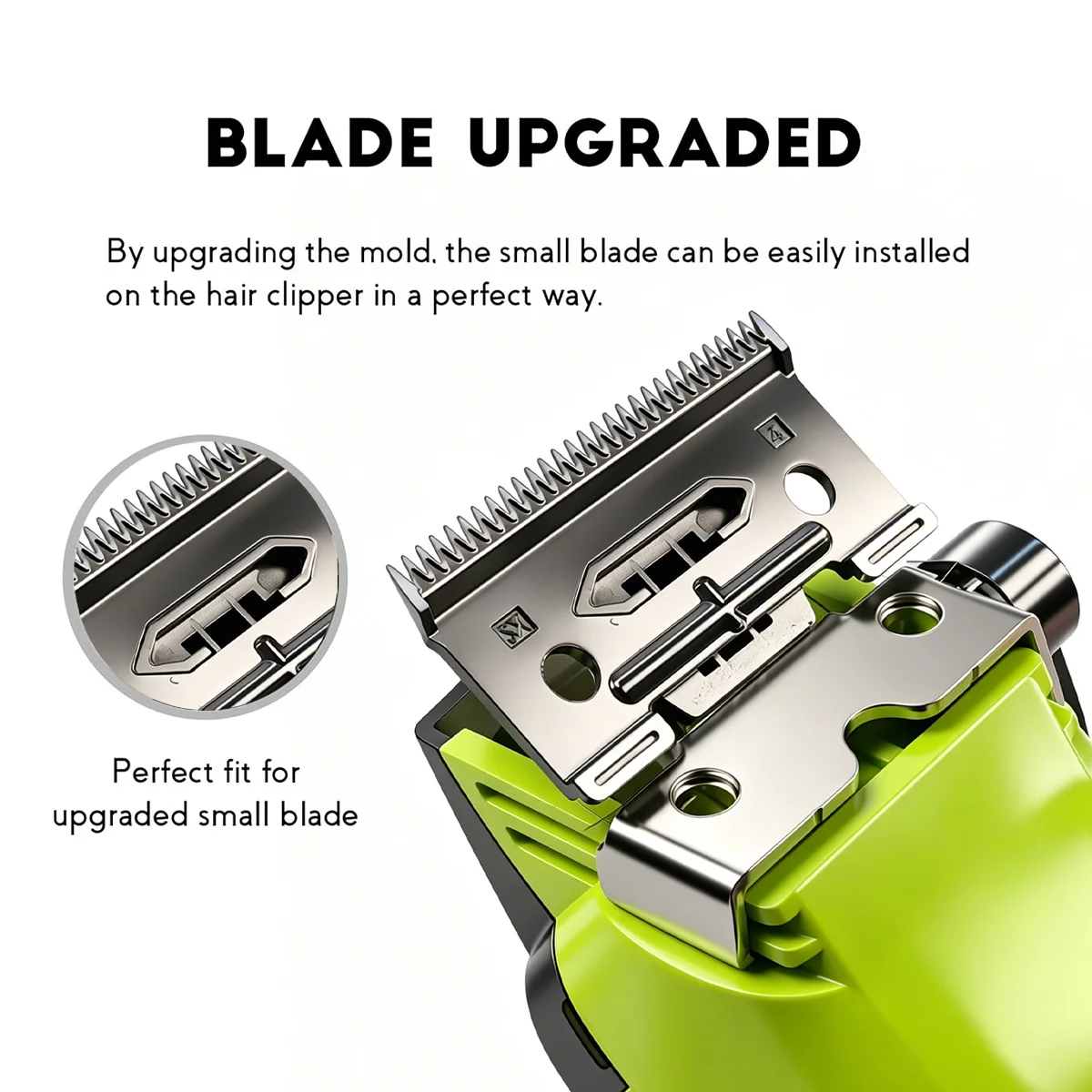 Organic Vegetable Box